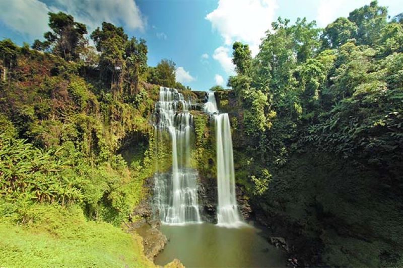 parque-nacional-en-laos-Dong-Phou-Vieng-3
