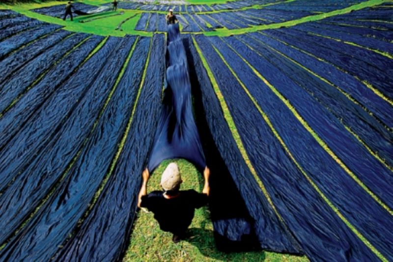 pueblo-de-seda-en-an-giang-delta-del-mekong-vietnam