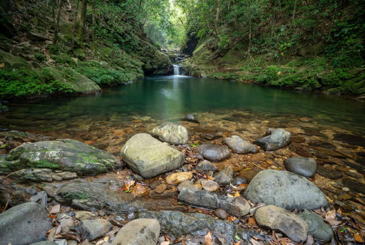 parque-nacional-bach-ma