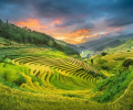 ¿Qué hacer en Mu Cang Chai en 3 días?