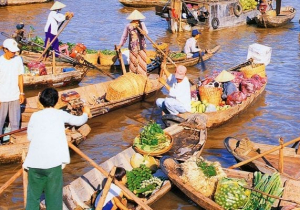 Excursión Delta del Mekong