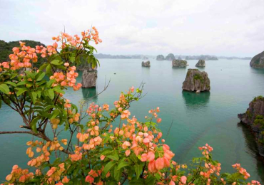 Itinerario de 10 días en Vietnam