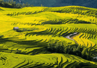 Mejor itinerario Vietnam 12 días