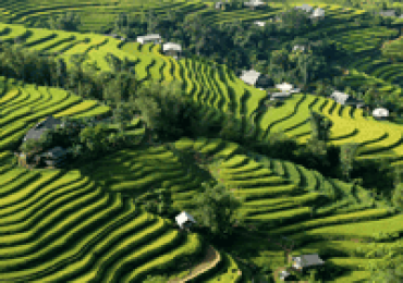 Trekking de Bac Ha a Hoang Su Phi 7 días