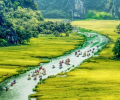 Excursión de 1 día a Ninh Binh