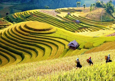 Viaje a Sapa Vietnam  4 días
