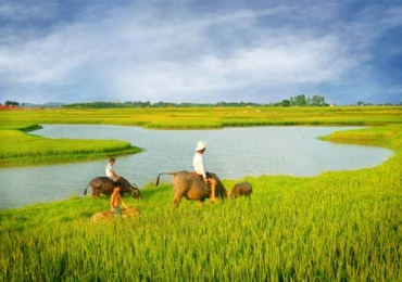 Viaje a Vietnam 12 días