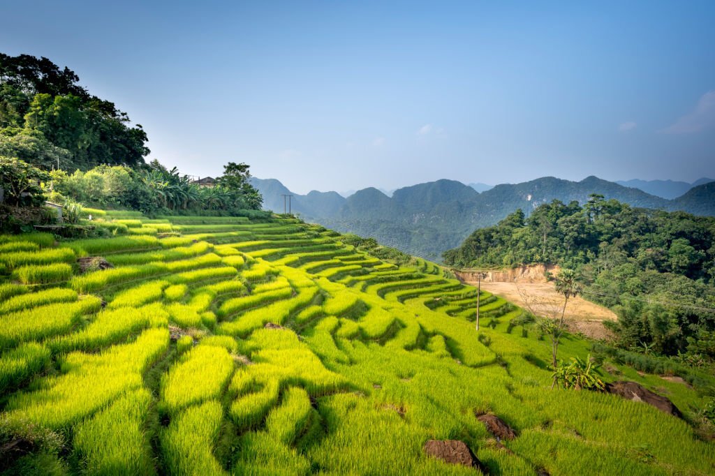los-campos-de-arroz-en-pu-luong